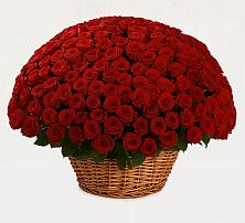 Премиум букет из: Розы в Подлесной Слободе